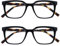 OPULIZE KOI Lesebrille 2er Pack - Große Rechteckige Brillenfassung - Schwarz - Sehhilfe für Damen, Herren - Federscharniere - RR50-1 - +2.00
