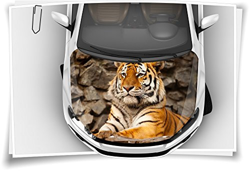 Medianlux Tiger König Wildnis Motorhaube Auto-Aufkleber Steinschlag-Schutz-Folie Airbrush Tuning Car-Wrapping Luftkanalfolie Digitaldruck Folierung