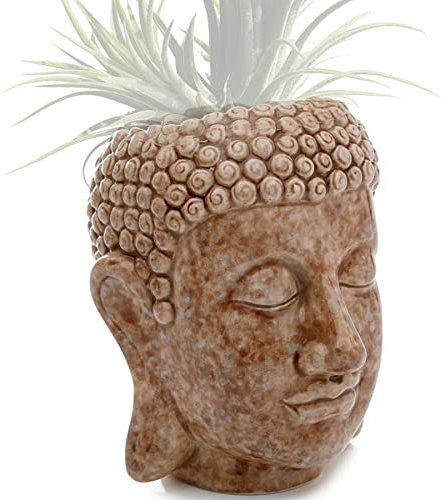 mtb more energy Deko Blumentopf ''Buddha'' - Höhe 12 cm - Pflanzentopf Übertopf Dekoration