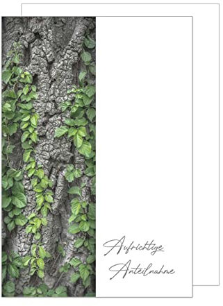 Edition Seidel Premium Trauerkarte mit Umschlag. Beileidskarte Trauer Karte Aufrichtige Anteilnahme Efeu Baum herzliches Beileid Abschied Teilnahme Mitgefühl (T1029 SW023)
