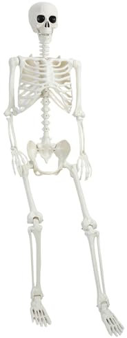 Skelett-Halloween-Dekorationen, 90 cm, lebensgroß, realistisch, Ganzkörper-Skelett, beweglich, bewegliche Gelenke, gruseliges Halloween-Kunststoff-Skelett für Friedhofs-Dekorationen,