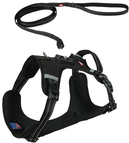 Zolux Clip and Go Hundegeschirr mit 2m Leine, Magnetsystem, Größe L, Schwarz, atmungsaktiver Stoff, für Hunde 28-45 kg, Halsumfang 54-68 cm, Brustumfang 78-94 cm