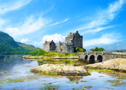 Puzzles 500 Pieces for Adults Jigsaw Puzzles for adults 500 Piece Puzzle Educational Games -Eilean Donan Castle