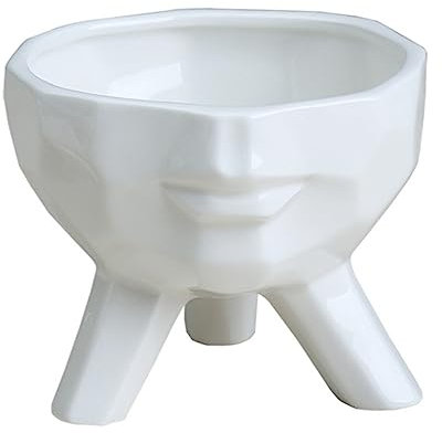 HAKIDZEL 1pièce Pot De Fleur Céramique à Visage Humain Pot Blanc pour Décoration De Maison Et Jardin pour Plantes Cactus Et Bonsai Accessoire Créatif pour Bureau Et Salon