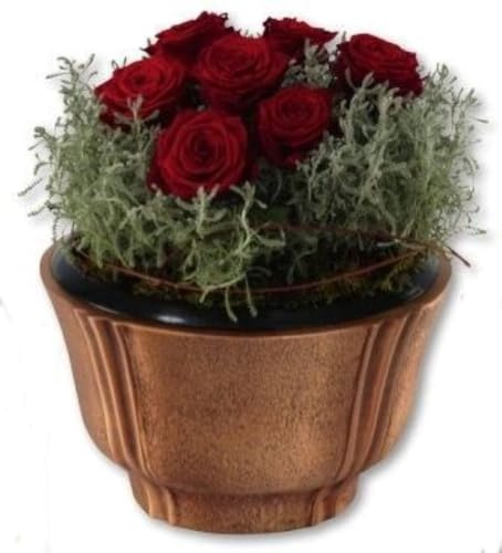 Generisch Grabschale aus Bronze Grab Pflanzschale Blumenschale Friedhof Hi