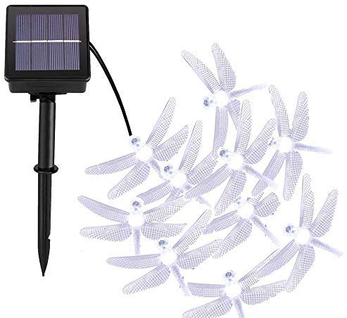 DINOWIN Solar Lichterkette Außen, 20ft 30 LED Libelle Licht,Wasserdichte lichterkette Dekorative für Garten, Party, Hochzeit, Haus,Fest Deko Beleuchtung,8 Beleuchtungsmodi (Weiß)