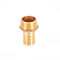 1 Stück BSP Schlauchanschluss Messing Stecker Fitting G 3/4x19mm, Schlauch Barb Schwanz männlich BSP Außengewinde Adapter