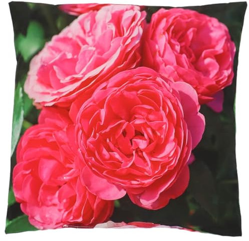 Esschert Design Kissen Outdoor S Rosa Rose