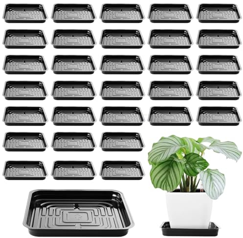 10 Inch Plant Saucer 30 Pack Plant Trays for Pots Square Plant Pot Saucers for Outdoors and Indoors Plant Water Catcher Tray Plastic Plant Trip Trays Saucers for Potted Plants Planter Dishes