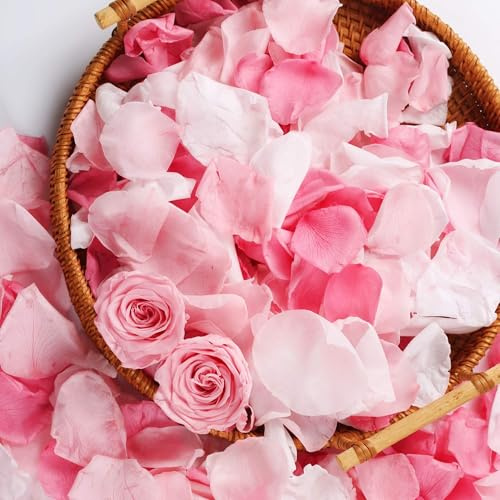 200 pétalos de rosas blancas y rosas reales para boda | Confeti de pétalos de rosa liofilizado de 49,61 g para lanzamiento de bodas, propuestas, noches románticas