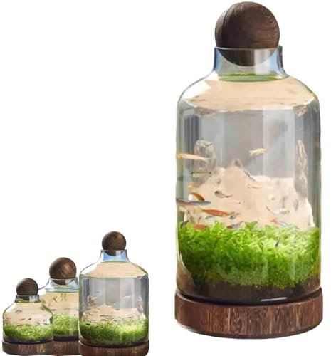 FkYstrix Fischbecken Schalen Pflanzen Aquarium Aquaponic Glas Fischflaschen Löschen Hydrokultur Pflanzenterrarium Ökosystem (L, A)