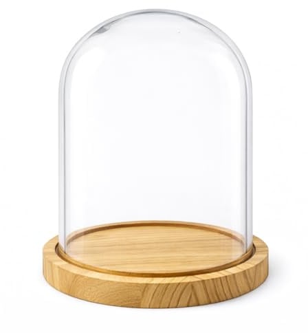 PALUPLUS Campana in Vetro con Base in Legno, Teca in Vetro Trasparente, Espositore per oggetti, composizioni floreali e luci, oggetto decorativo per la tua casa -953M -2,1 (17x25 cm)