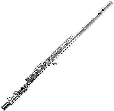 flöte Instrument Schülerflöte Schließen Sie 16 Löcher Mit Offset G, Split E Und H Fuß (Color : Silver)