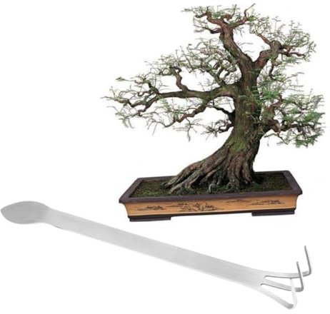 OFFSCH Mini Râteau De Jardinage Acier Inoxydable pour Bonsaï Râteau Compact pour Plantes Pot Ameublissement Douceur du Sol Outil De Jardinage Pratique