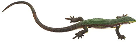 CIYODO Eidechsen Spielzeug Aus Kunststoff Tierfigur Für Junge Mädchen Eidechsenstatue Als Dekoration Reptilienmodell Für Partygeschenke Lehrreiches Spielzeug Für Garten Und Balkon