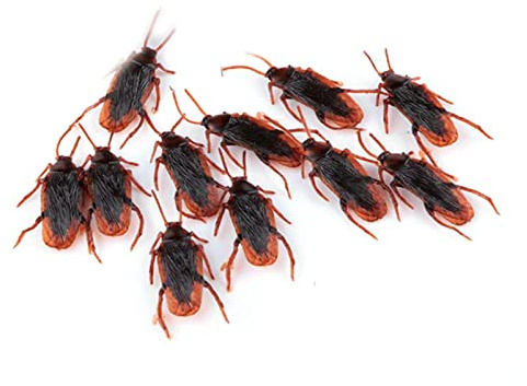 YIGZYCN 10 Teile/Satz Spezielle Lebensechte Modell Simulation Gefälschte Gummi Kakerlake Roach Kakerlaken Spielzeug Streich Lustige Trick Witz Spielzeug