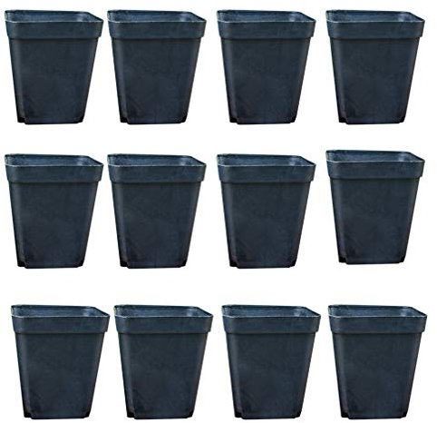 NUOBESTY 2 Pulgadas Macetas de Flores Cuadradas Negras Pequeñas Macetas de Plástico 100 Piezas Macetas de Plantas de Flores Cuadradas Mini Maceta Suculenta para Cactus Bonsai