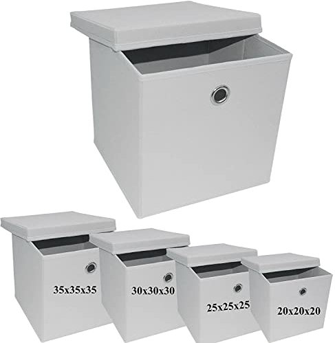 A406 2x Foldable Storage Boxes with Lid Storage Basket with Lid Fabric Cubes with Handles Collapsible Fabric Organiser Clothes Storage Box (Large-30x30x30cm, White)