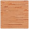 vidaXL Tischplatte, Quadratisch Holzplatte mit 4 abgerundeten Ecken, Holztischplatte Ersatzplatte für Couchtisch, Massivholztischplatte Platte, 70x70x2,5 cm Massivholz Buche