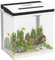 Acuario de Cristal