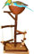 Vogelgaleria® Herrlicher Vogelspielplatz aus Naturholz. EIN Kletterspielplatz mit vielen Sitzstangen und Futternapf aus Kokos | Wellensittich Spielzeug
