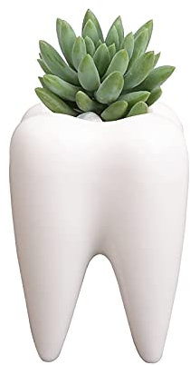 YOUYA DENTAL Pot de fleurs en céramique blanche en forme de dent mignonne pour plantes grasses, pot de fleurs, pot à crayons créatif pour bureau, maison, bureau (plantes non incluses)