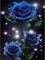 OdiuK 5D DIY Full Drill Diamond Painting Bilder, Mosaikherstellung Malen Nach Zahlen, Blaue Rose Diamond Painting Cross Stickerei Malerei Set für Home Wand Décor Geschenk 30 x 40cm