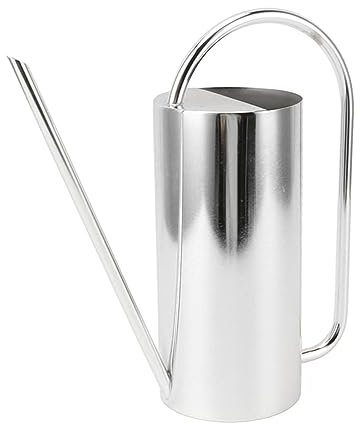 Fockety Arrosoir pour Plantes D'intérieur, Petit Arrosoir en Acier Inoxydable de 1500 ML, élégant Bec Long pour Plantes D'intérieur, Fleurs de Jardin, Plantes Grasses, bonsaï (Argent)