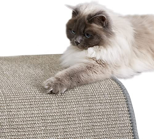 Kratzmatte für Katzen - Fußmatte Sisal Kratzteppich - natürliche Sisalmatte robust - Vorleger aus 100% Sisal - Katzenkratzmatte grau 50 x 50 cm