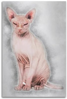 McosU Sphynx Poster mit haarloser Katze, Dekoration, Druckherstellung, Wandkunst, Leinwand, Malerei, Albumcover, Poster, Dekoration, Geschenke, Zuhause, Büro, Schlafzimmer, Dekoration, 20 x 30 cm,