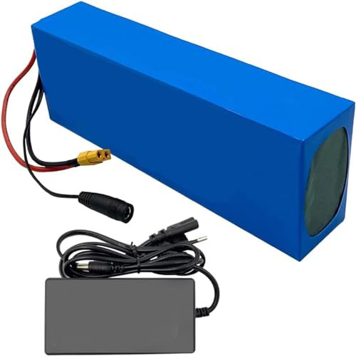 Batterie Li-ION E-Bike 24V 29.4V 36V 48V 8AH 10AH 12AH 15AH 18AH 20AH 25AH 30AH Batterie Lithium-ION pour Vélo Électrique Batterie Au Lithium pour Vélo Moteur 1000W 24V29.4V12AH(2),XT60