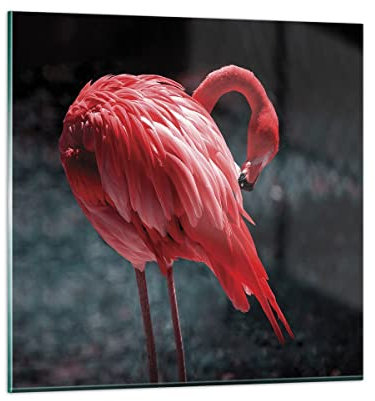 Bilder auf Glas 70x70cm Glasbild Flamingo Rosa Vogel Groß Wanddeko Bild im Glas Schlafzimmer Küche Deko Wandbilder Dekoration Wohnzimmer Modern Wall Decor Glasdruck Wand Kunstdruck Art GAC70x70-4551