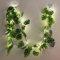 Fielegen Guirlande lumineuse 20 LED Monstera Leaf,1.8 m,Feuilles de palmier tropicales artificielles avec lumières,Décoration d'été pour fête hawaïenne,Jungle Safari Luau,Barbecue,Plage,Anniversaire