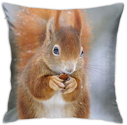 Kissenbezug, süßes Eichhörnchen, dekorativer Überwurf-Kissenbezug, weiche Kissenbezüge, 45 x 45 cm, für Schlafzimmer, Sofa