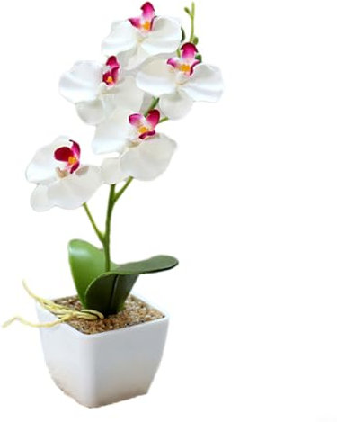 Entgoinggo 5 fiori finti di orchidea farfalla rosa, piccoli bonsai, decorazione per la casa (vaso di plastica) (bianco)