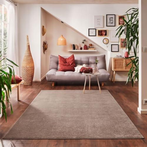 Carpettex Teppich Wohnzimmerteppich, kurz, modern, Farbe und Größe wählbar, beige, 60x100 cm
