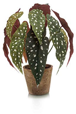 artplants.de Konstgjord växt Forellbegonia ELISEIA, terrakottakruka, 30 cm