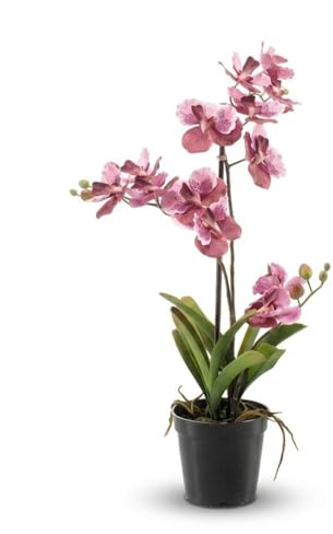 Orchidea Vanda pianta artificiale – circa 60 cm – rosa antico – orchidea artificiale in vaso – pianta decorativa per soggiorno, ufficio e reception