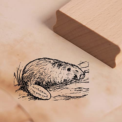 Motivstempel Biber im Wasser Stempel 48 x 28 mm