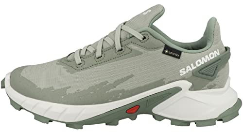 Salomon Damen Schuhe Alphacross 4 GTX W Traillaufschuhe, Desert Sage White Laurel Wreath, 44 EU