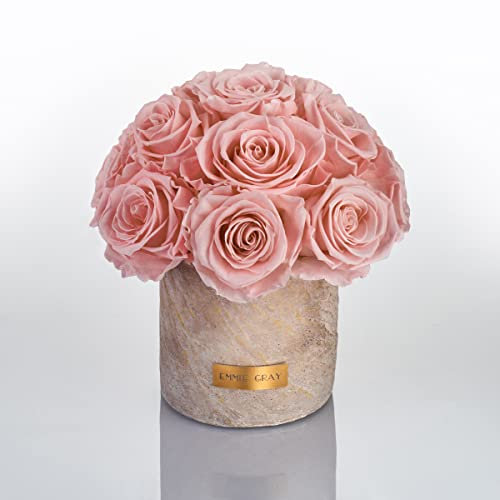 Solid Infinity Collection Golden Sand - Traumhafte Infinity Rosen, 1-3 Jahre haltbare Rosen, Betonvase mit echten, konservierten Rosen, edle Premiumrosen - Größe S (Antique Pink)