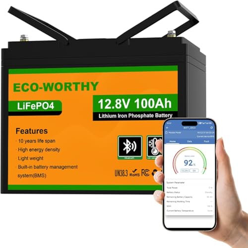 ECO-WORTHY Lifepo4 Batteria al litio Bluetooth 12 V 100 AH, Batteria LiFePO4 con Protezione a Bassa Temperatura, BMS Intelligente, 1280 Wh Energia, per Caravan, Campeggio, Sistemi solare, Pesca alla