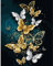 UNIVERTEN Kit Peinture par Numéro pour Adulte Enfant, Peinture Loisir Creatif Enfant Idéal Comme Cadeau Anniversaire, Noël ou Décoration Intérieure, Papillon(40x50cm)