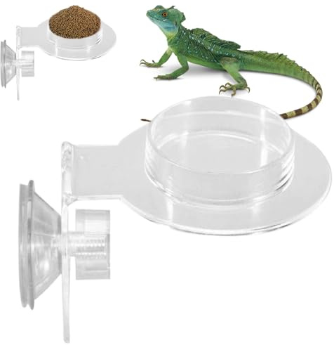 Miyanvuo Wasserschale Für Reptilien Terrarium - Reptilien Acryl Wasserbecken Futter Napf | Small Animal Water Dish Spider Feeder