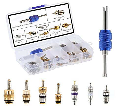 Wuiil OCR Car Air Conditioner Valve Core R12 R134a Automotive Air Conditioning Refrigeration Tire Valve Stem with Double Head Dual Dismantling Remover Tool Assortment Kit (40PCS)
