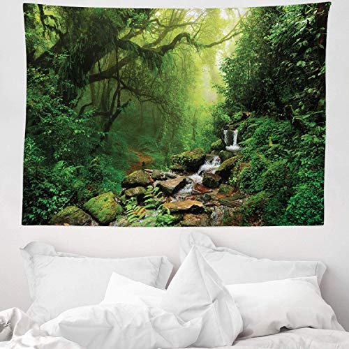 ABAKUHAUS Wald Wandteppich, Frühling in Nepal Fußweg aus Weiches Mikrofaser Stoff Waschbar ohne Verblassen Digitaldruck, 150 x 110 cm, Grün braun