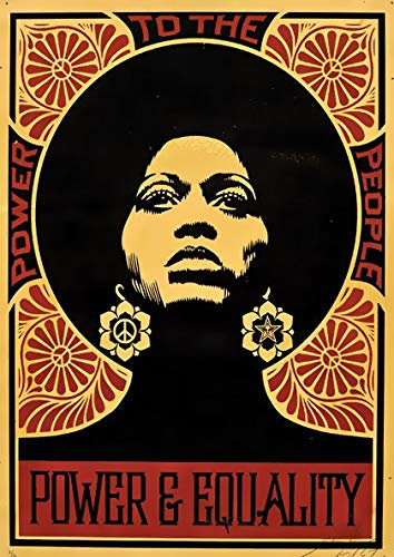 shuimanjinshan Black Panther Party Angela Davis Freiheitsführer Leinwand Vintage Foto Malerei Kraft Poster beschichtet Wandaufkleber Home Decor Geschenk Leinwand 50x70cm C1