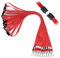 Segus Tour de Cou Porte Clé, 10 Pièces Cordon Clef Cou avec Clip de Sécurité, Cordon Collier pour Protege Carte, Sifflet, Portefeuille (Rouge)