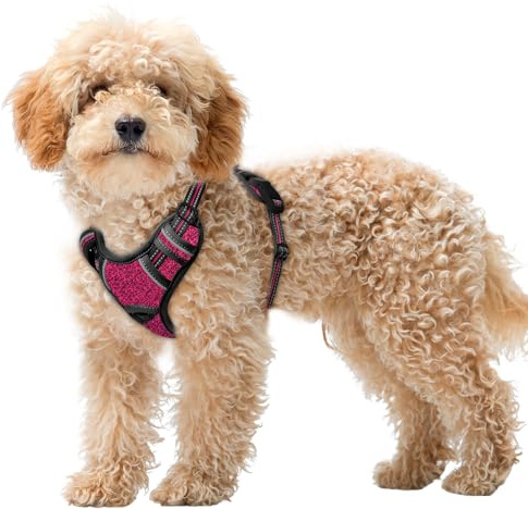 BARKBAY No Pull Dog Harness Large Reflective Dog Harness with Front Clip and Easy Control Handle for Walking Training Running with ID tag Pocket(Pink/Black,XS)