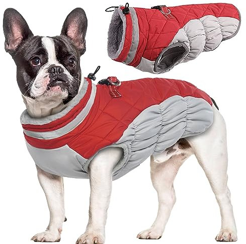 Hjumarayan Hundemantel für Kleine Mittelgroße Grosse Hunde, Hundejacke Warme Hundeweste Wintermantel Hund Wasserdicht Hunde Mantel Gefüttert, Hundemantel Französische Bulldogge (Rot M)